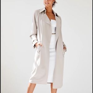 Aritzia Lawson Trenchcoat